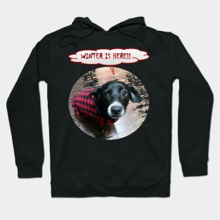 Puppy Winter is Here Hoodie